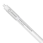 Ledvance LED Tube T5 Value Short (HF) High Efficiency 7W 770lm - 830 Warm White | 52cm - Replaces 13W